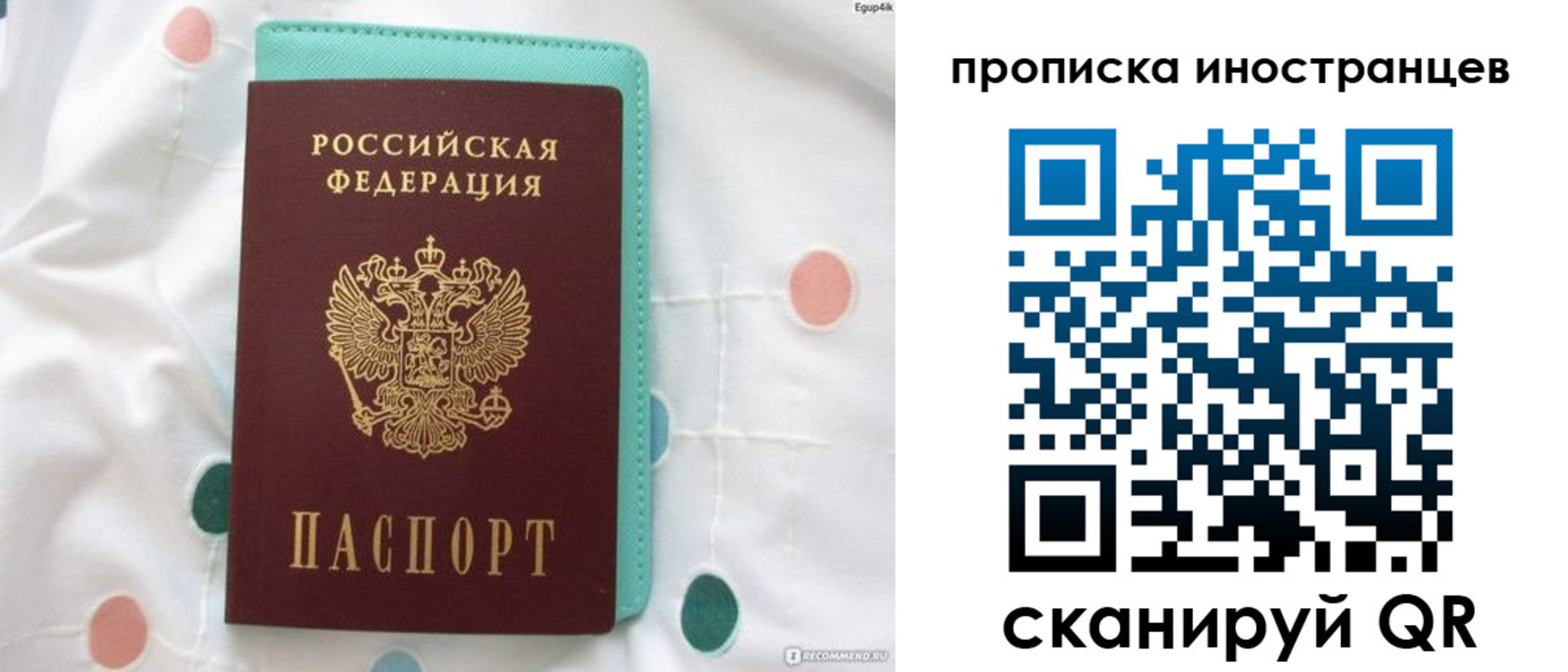 прописка гарантия в Рязани